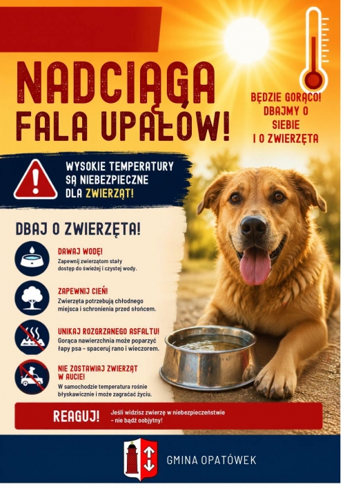 obrazek uwcgqe fala upałów  wiecej