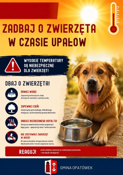 obrazek sgcqo o zwierzęta w czasie upałów  wiecej